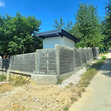 Aida Villa *